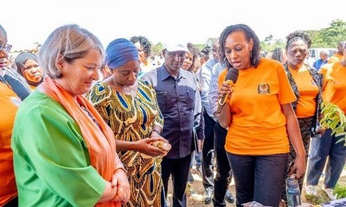 Ambassador Mary O'Neill and Minister of Health, Ummy Mwalimu at the Embassy of Ireland 16 Days of Activism 2023 Tanga Regional Event