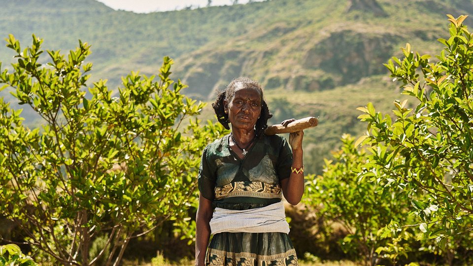 Climate smart beneficiary