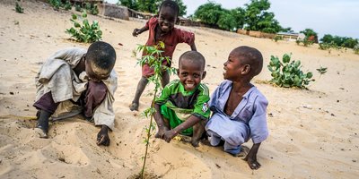 Four smiling children plant a small tree in the sand