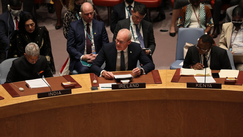 Minister for Foreign Affairs speaking in the UN Security Council chamber