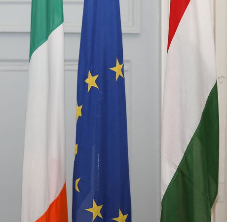 Irish, EU and Hungarian national flags