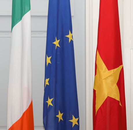 Irish, EU, and Vietnam national flags