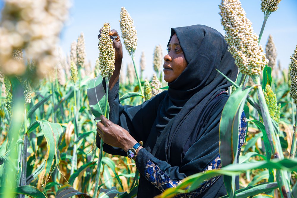 Woman in headscarf in a field of plants