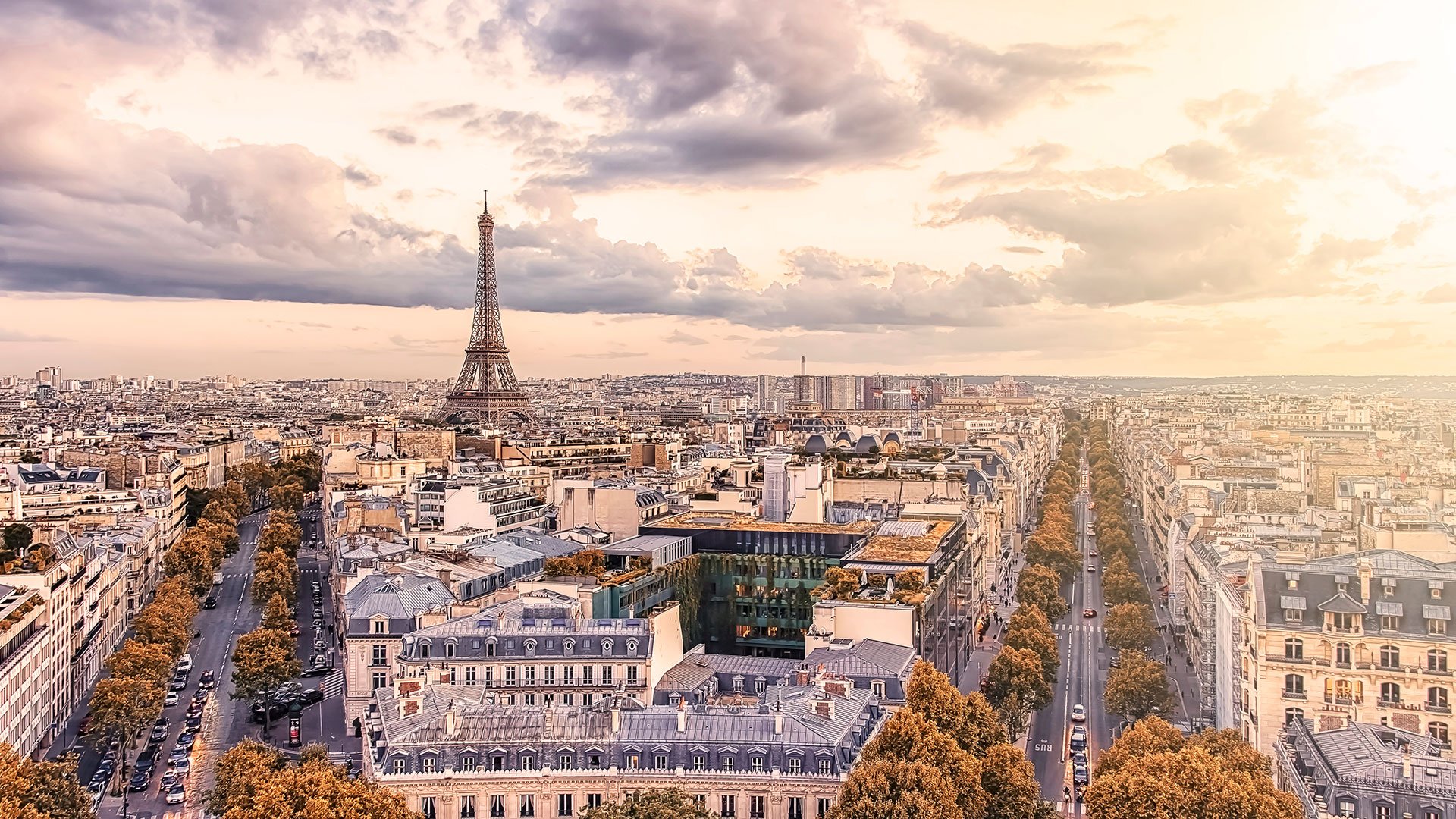 A view of the skyline of Paris with the Eiffel Tower in the distance.