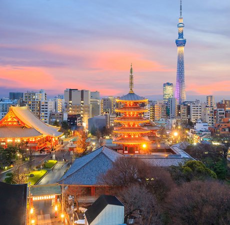 Skyline of Tokyo lit up at dusk