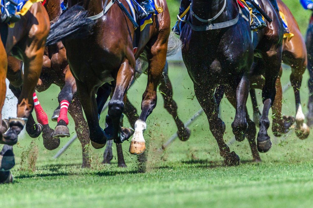hooves on a racetrack