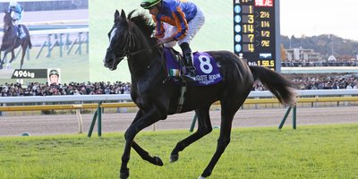a horse and jockey mid race