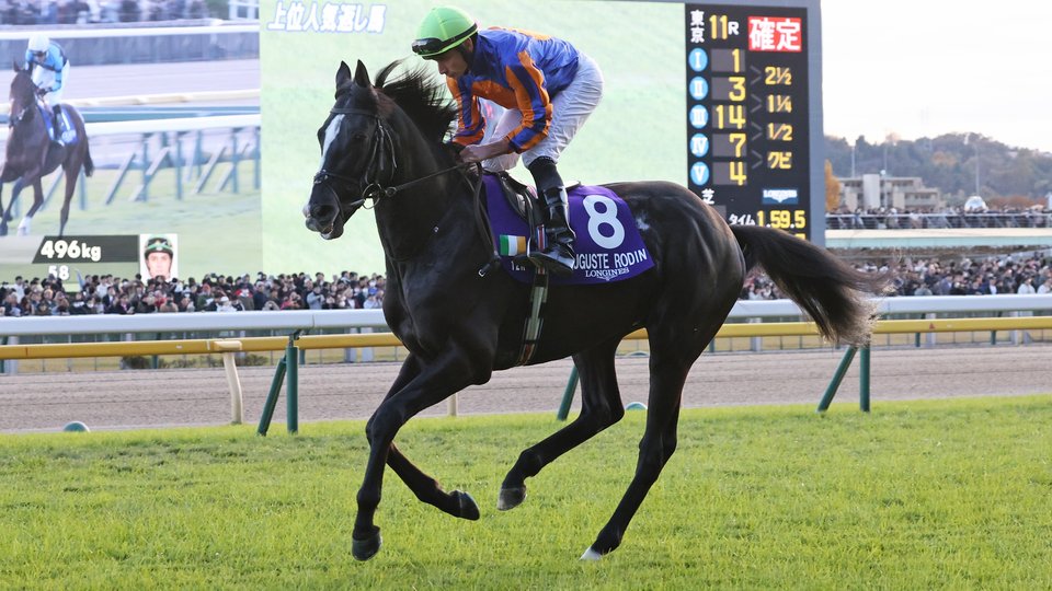a horse and jockey mid race