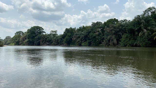 Lush greenery across the water