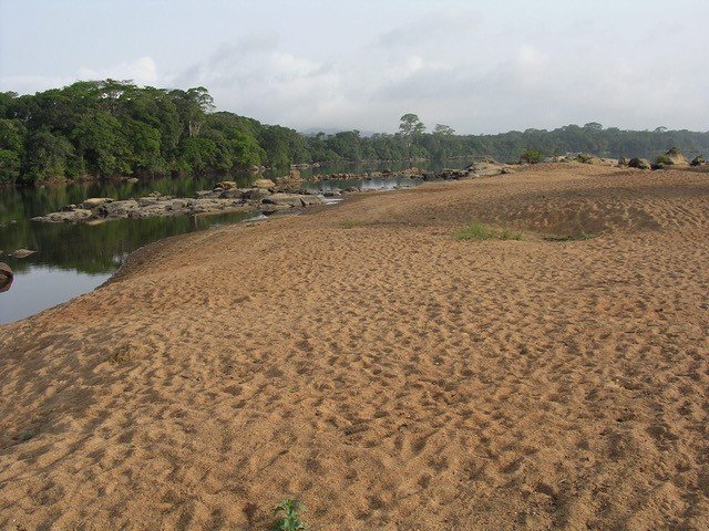 The sandy beach of Tiwai Island