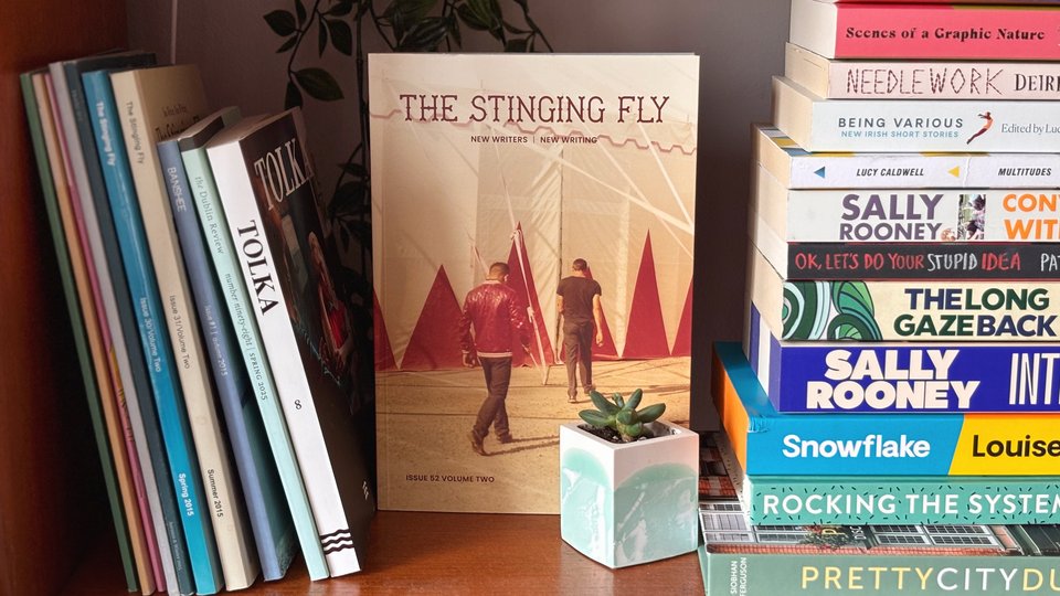 Irish literary journals and contemporary fiction on a bookshelf