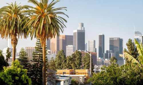 Palm trees with the LA skyline in the background