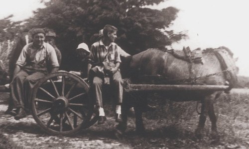 black and white image of children sat on a cart drawn by a horse