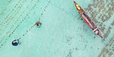 Aerial view of two fishermen standing in transparent aquamarine water