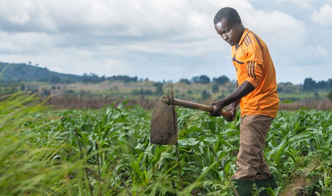 A man working in a field in Tanzania