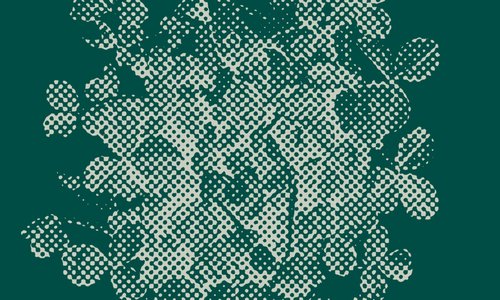 Graphic of shamrocks