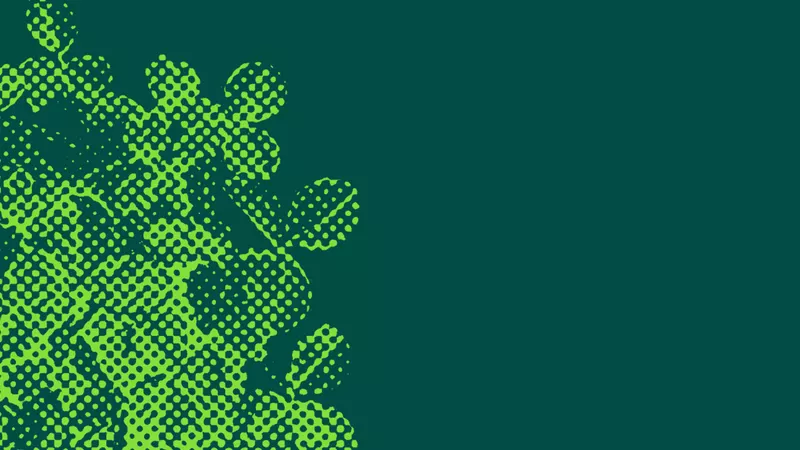 graphic of shamrocks in neon green